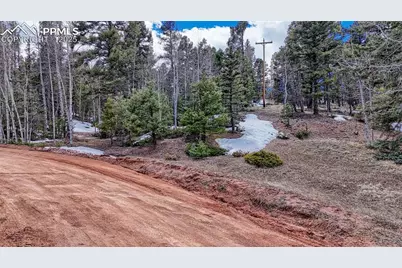 244 Spring Valley Lane, Florissant, CO 80816 - Photo 4