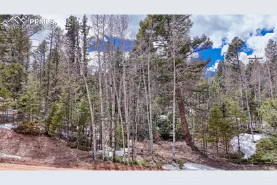 244 Spring Valley Lane, Florissant, CO 80816 - Photo 12