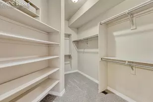 1665 Doe Run Point, Colorado Springs, CO 80919 - Photo 22