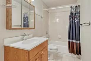 1665 Doe Run Point, Colorado Springs, CO 80919 - Photo 34