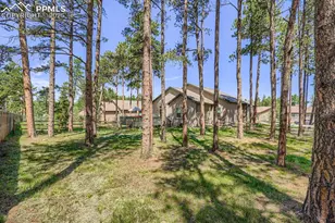 1163 Ptarmigan Dr, Woodland Park, CO 80863 - Photo 28