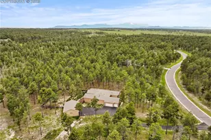 16104 Pole Pine Point, Colorado Springs, CO 80908 - Photo 50