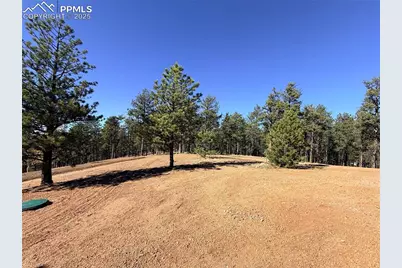 2627 Pikes Peak Drive, Florissant, CO 80816 - Photo 26