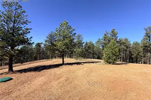 2627 Pikes Peak Dr, Florissant, CO 80816 - Photo 26