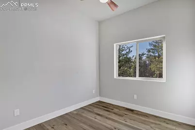 2627 Pikes Peak Drive, Florissant, CO 80816 - Photo 24