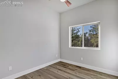 2627 Pikes Peak Drive, Florissant, CO 80816 - Photo 24