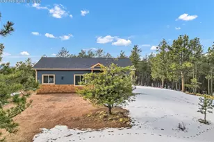 2627 Pikes Peak Dr, Florissant, CO 80816 - Photo 30