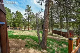 78 Barr Lake Cir, Divide, CO 80814 - Photo 32