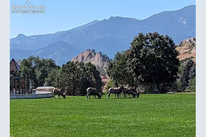 5454 Majestic Drive, Colorado Springs, CO 80919 - Photo 48