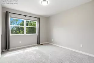 9959 Rose Leaf Ct, Colorado Springs, CO 80920 - Photo 30