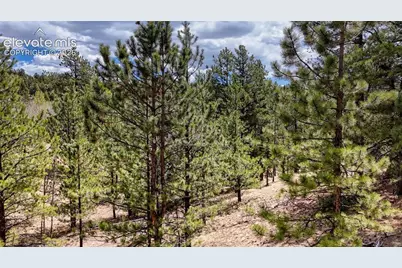 16 View Circle, Florissant, CO 80816 - Photo 18