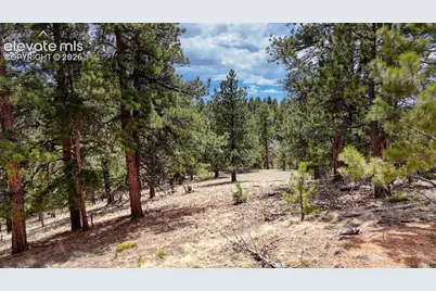 16 View Circle, Florissant, CO 80816 - Photo 12