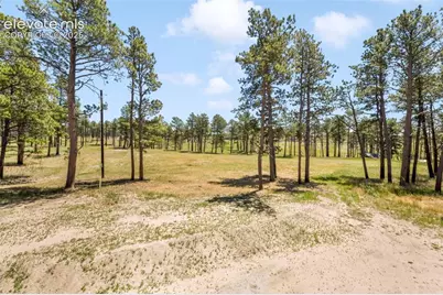13355 Pinery Drive, Colorado Springs, CO 80908 - Photo 46