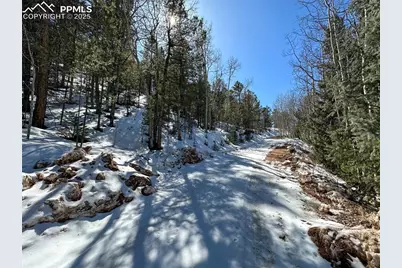 1601 May Queen Drive, Cripple Creek, CO 80813 - Photo 24