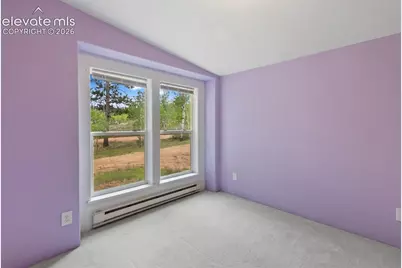 350 Brooks Lane, Woodland Park, CO 80863 - Photo 24