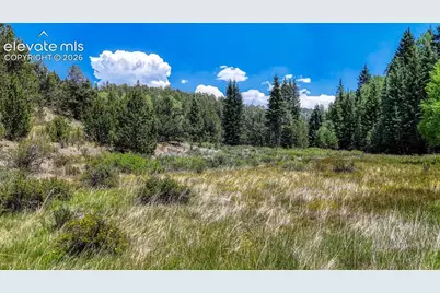 Highway 67, Cripple Creek, CO 80813 - Photo 20