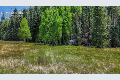 Highway 67, Cripple Creek, CO 80813 - Photo 14