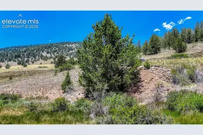 Highway 67, Cripple Creek, CO 80813 - Photo 18