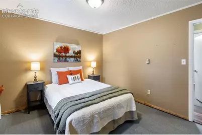 1303 W Midland Avenue, Woodland Park, CO 80863 - Photo 14