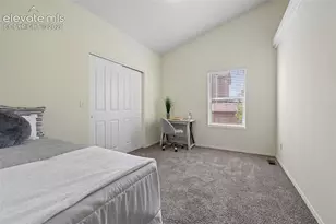 753 Harvest Field Way, Fountain, CO 80817 - Photo 22