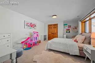 2595 Tamora Way, Colorado Springs, CO 80919 - Photo 44