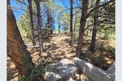 5550 Wilkerson Pass Drive, Colorado Springs, CO 80917 - Photo 16
