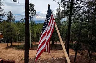 40 Flathead Ln, Woodland Park, CO 80863 - Photo 2