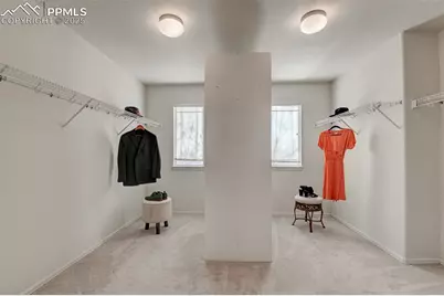 1460 Lily Lake Drive, Colorado Springs, CO 80921 - Photo 26