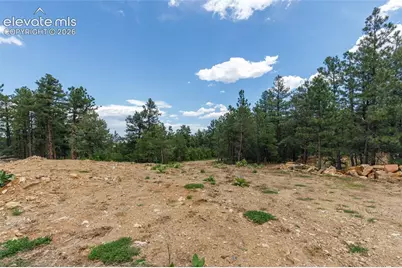 8719 Ponderosa Pine Drive, Beulah, CO 81023 - Photo 10