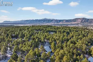 1245 Lone Scout Lookout, Monument, CO 80132 - Photo 6