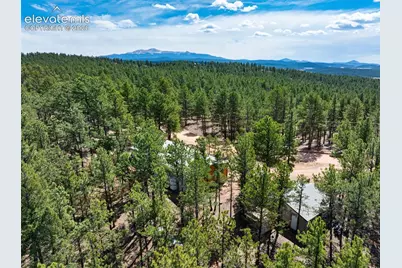 1299 Pikes Peak Drive, Florissant, CO 80816 - Photo 28