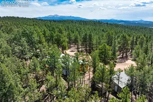 1299 Pikes Peak Dr, Florissant, CO 80816 - Photo 28