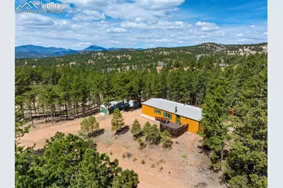 1299 Pikes Peak Drive, Florissant, CO 80816 - Photo 26