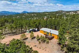 1299 Pikes Peak Dr, Florissant, CO 80816 - Photo 26