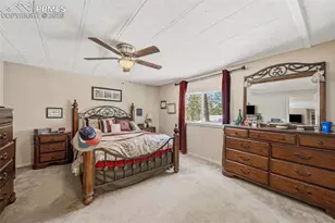 1299 Pikes Peak Dr, Florissant, CO 80816 - Photo 14