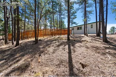 1299 Pikes Peak Drive, Florissant, CO 80816 - Photo 24