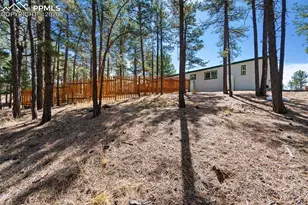 1299 Pikes Peak Dr, Florissant, CO 80816 - Photo 24