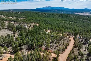 1299 Pikes Peak Dr, Florissant, CO 80816 - Photo 32