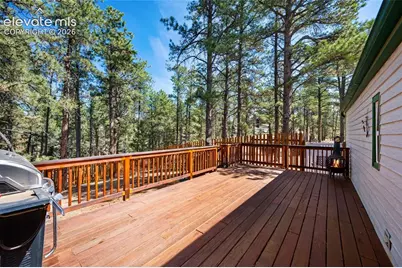 1299 Pikes Peak Drive, Florissant, CO 80816 - Photo 22