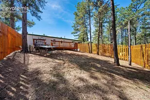 1299 Pikes Peak Dr, Florissant, CO 80816 - Photo 24