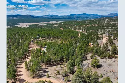 1299 Pikes Peak Drive, Florissant, CO 80816 - Photo 34
