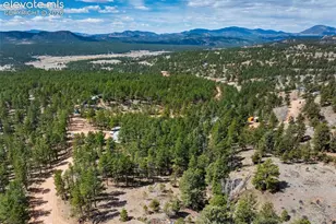 1299 Pikes Peak Dr, Florissant, CO 80816 - Photo 34