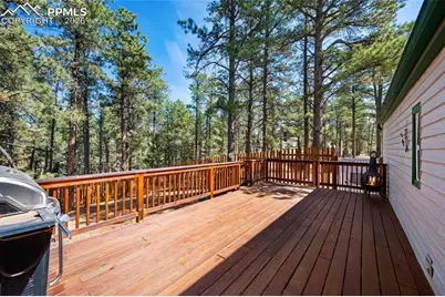 1299 Pikes Peak Drive, Florissant, CO 80816 - Photo 22