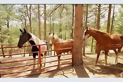 117 Rabbil Creek Trail, Florissant, CO 80816 - Photo 30