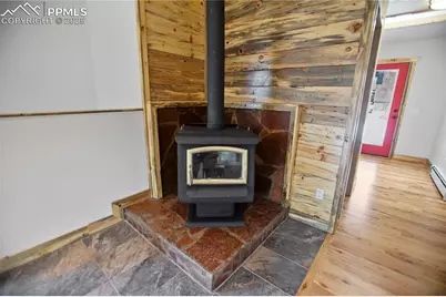 117 Rabbil Creek Trail, Florissant, CO 80816 - Photo 6