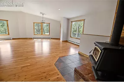 117 Rabbil Creek Trail, Florissant, CO 80816 - Photo 38