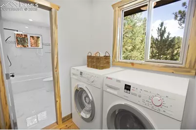 117 Rabbil Creek Trail, Florissant, CO 80816 - Photo 16