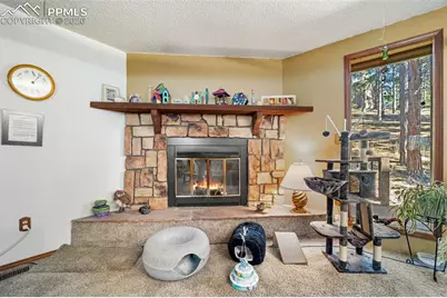 554 Manor Court #C, Woodland Park, CO 80863 - Photo 12