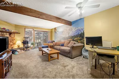 554 Manor Court #C, Woodland Park, CO 80863 - Photo 8