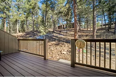 554 Manor Court #C, Woodland Park, CO 80863 - Photo 26